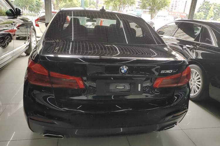 Used BMW 5 Series 2020 530Li Leading Model M Sport Package Rear