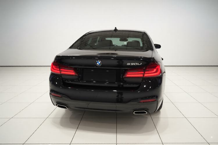 Used BMW 5 Series 2020 530Li Luxury Edition M Sport Package Rear