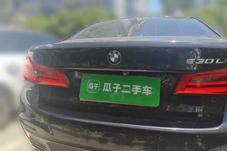 Used BMW 5 Series 2020 530Li Luxury Edition M Sport Package Rear