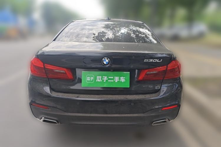 Used BMW 5 Series 2020 530Li Leading Model M Sport Package Rear