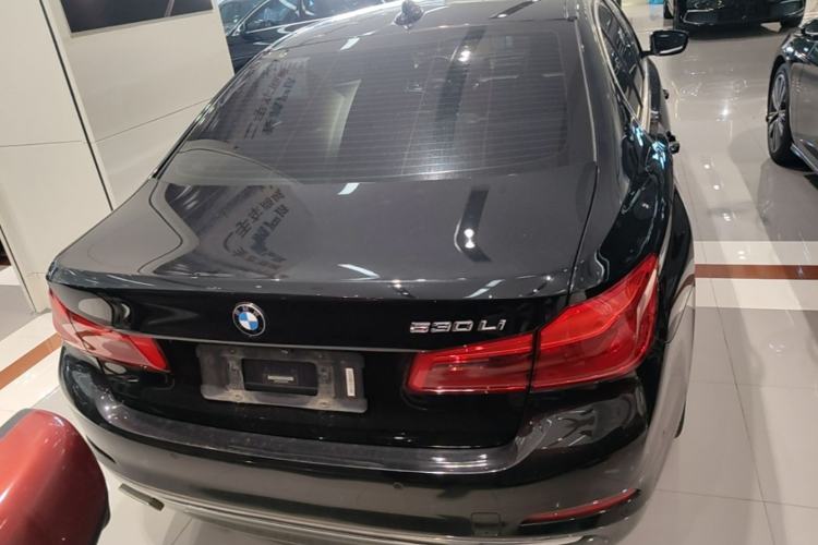 Used BMW 5 Series 2020 530Li Luxury Edition Premium Package Rear