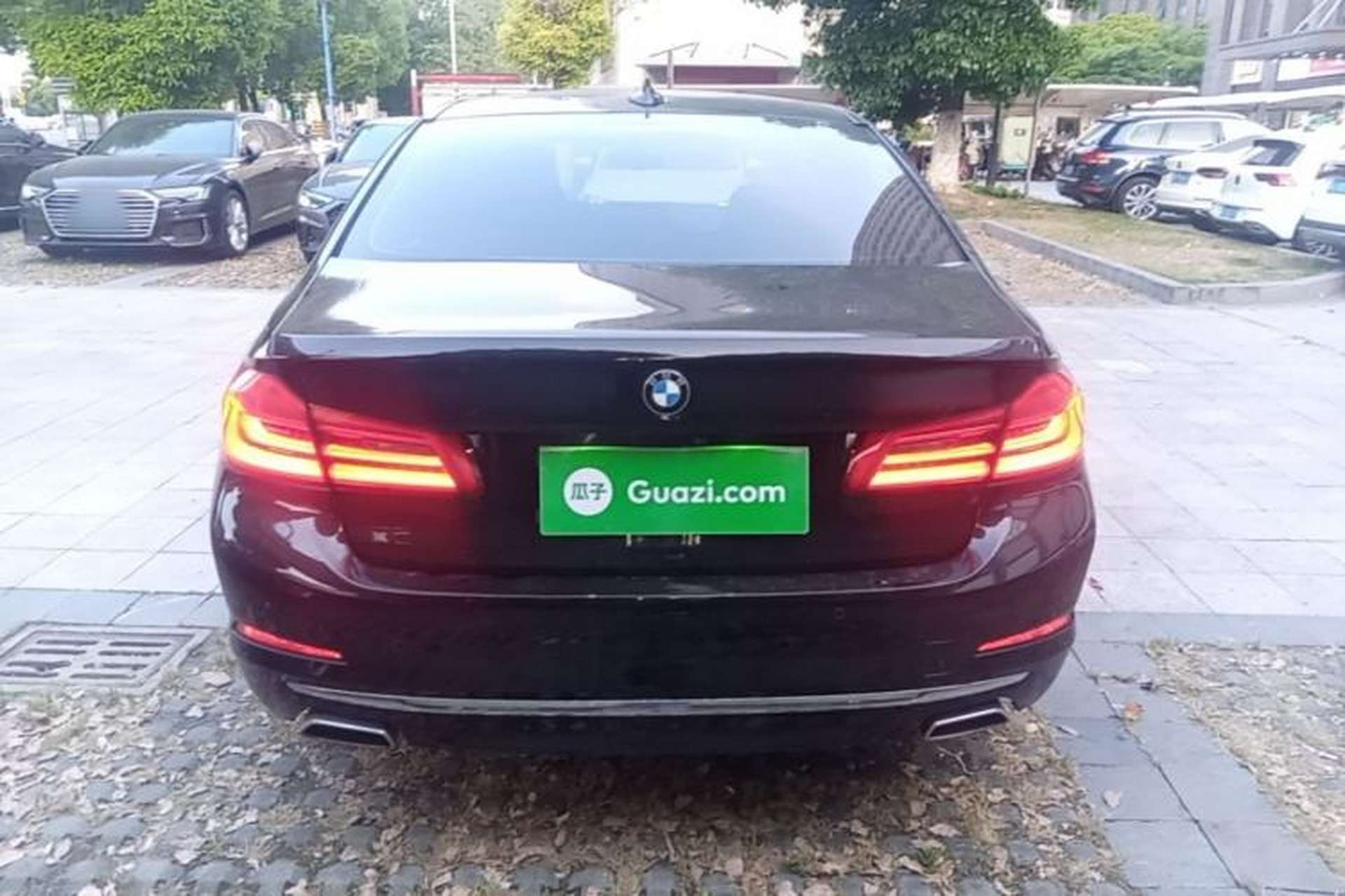 Used BMW 5 Series 2020 530Li Leading Edition Luxury Package Rear