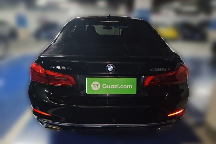 Used BMW 5 Series 2020 530Li Leading Edition Luxury Package Rear