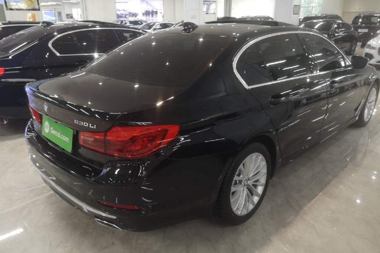 Used BMW 5 Series 2020 530Li Luxury Edition Premium Package Rear Right 45 Deg