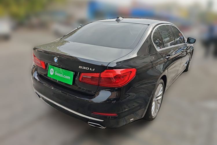 Used BMW 5 Series 2020 530Li Luxury Edition Premium Package Rear Right 45 Deg