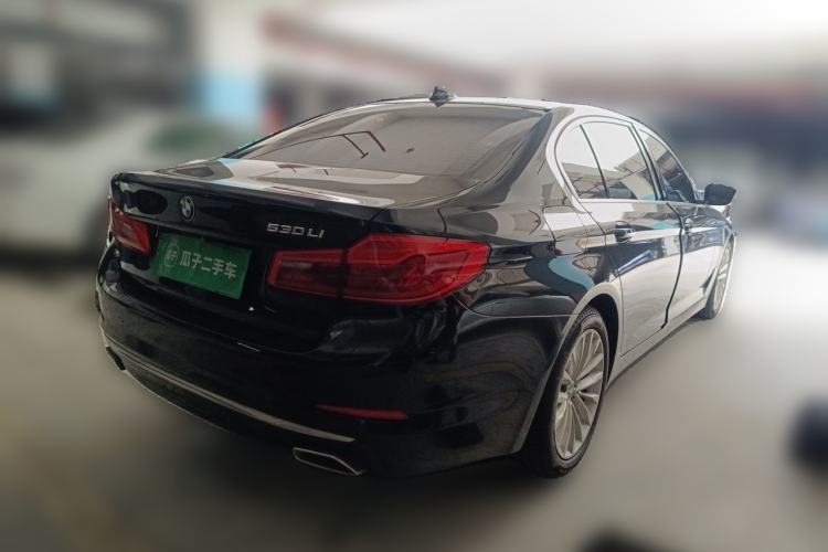 Used BMW 5 Series 2020 530Li Luxury Edition Premium Package Rear Right 45 Deg