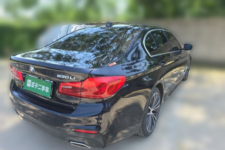 Used BMW 5 Series 2020 530Li Luxury Edition M Sport Package Rear Right 45 Deg
