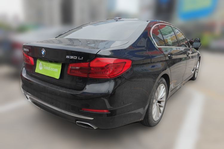 Used BMW 5 Series 2020 530Li Luxury Edition Premium Package Rear Right 45 Deg