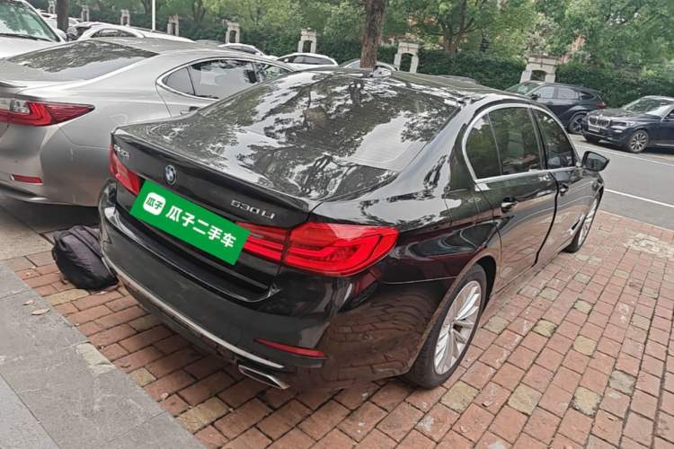 Used BMW 5 Series 2020 530Li Luxury Edition Premium Package Rear Right 45 Deg