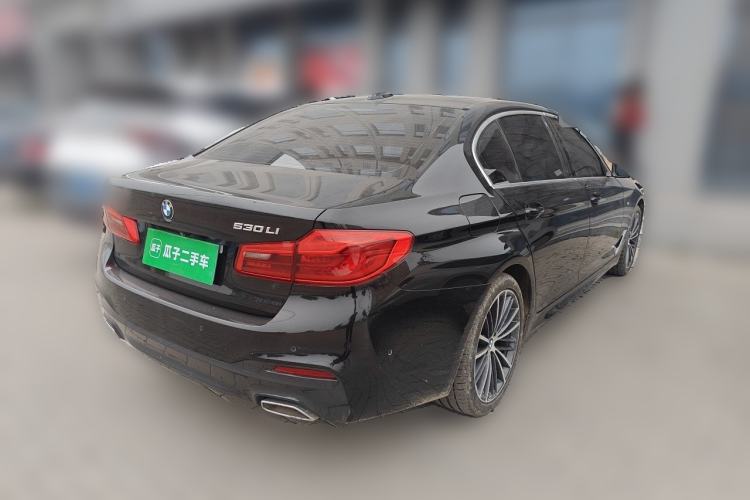 Used BMW 5 Series 2020 530Li Luxury Edition M Sport Package Rear Right 45 Deg