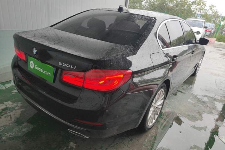 Used BMW 5 Series 2020 530Li Luxury Edition Premium Package Rear Right 45 Deg