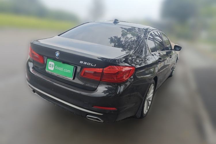 Used BMW 5 Series 2020 530Li Luxury Edition Premium Package Rear Right 45 Deg
