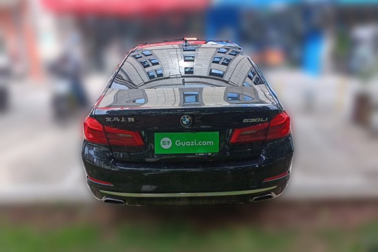 Used BMW 5 Series 2020 530Li Leading Edition Luxury Package Rear