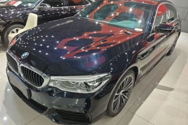 Used BMW 5 Series 2020 530Li Leading Model M Sport Package