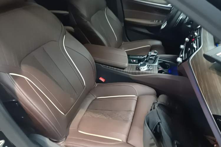 Used BMW 5 Series 2020 530Li Luxury Edition Premium Package Right Front Seat