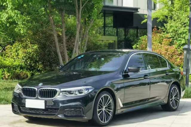 Used BMW 5 Series 2020 530Li Leading Model M Sport Package