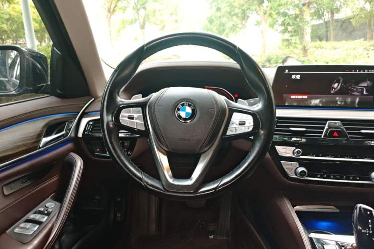 Used BMW 5 Series 2020 530Li Leading Edition Luxury Package Steering Wheel
