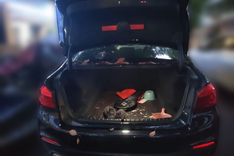 Used BMW 5 Series 2020 530Li Luxury Edition M Sport Package Trunk