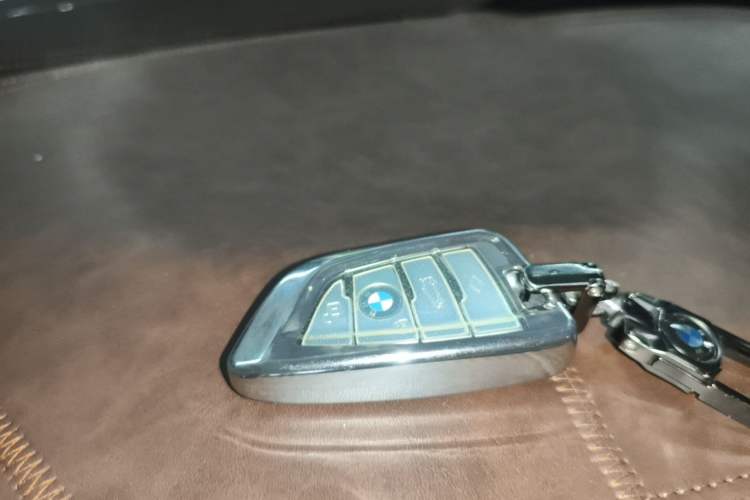 Used BMW 5 Series 2020 530Li Leading Edition Luxury Package Vehicle Key