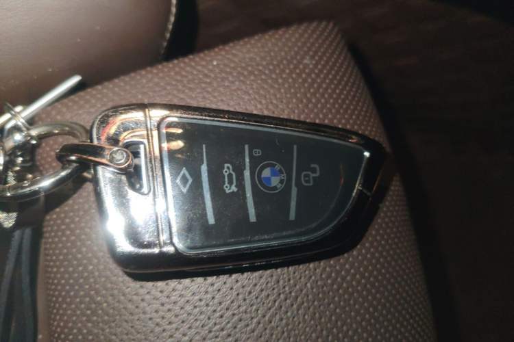 Used BMW 5 Series 2020 530Li Luxury Edition Premium Package Vehicle Key