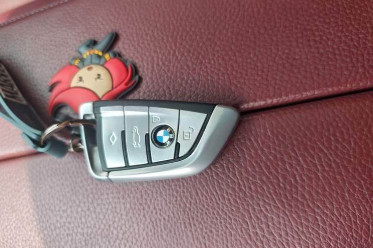 Used BMW 5 Series 2020 530Li Leading Model M Sport Package Vehicle Key