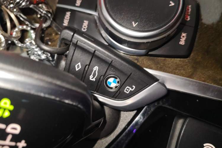 Used BMW 5 Series 2020 530Li Luxury Edition M Sport Package Vehicle Key