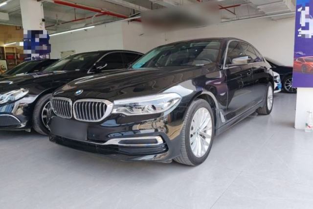 Used BMW 5 Series 2020 530Li Leading Edition Luxury Package