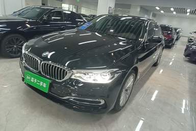 Used BMW 5 Series 2020 530Li Luxury Edition Premium Package
