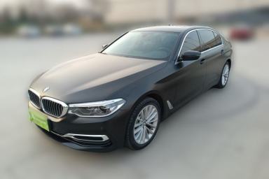 Used BMW 5 Series 2020 530Li Leading Edition Luxury Package