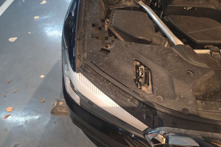 Used BMW 5 Series 2020 525Li M Sport Package Engine Bay Right