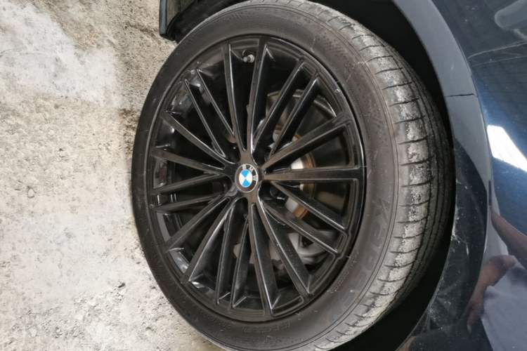 Used BMW 5 Series 2020 530Li Leading Model M Sport Package Exterior 4