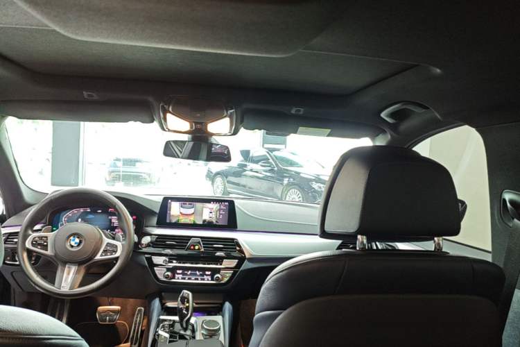 Used BMW 5 Series 2020 530i Sport Line M Sport Package Headliner