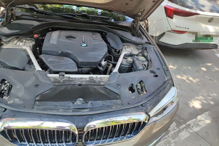 Used BMW 5 Series 2020 530Li Leading Edition Luxury Package Engine Bay Left