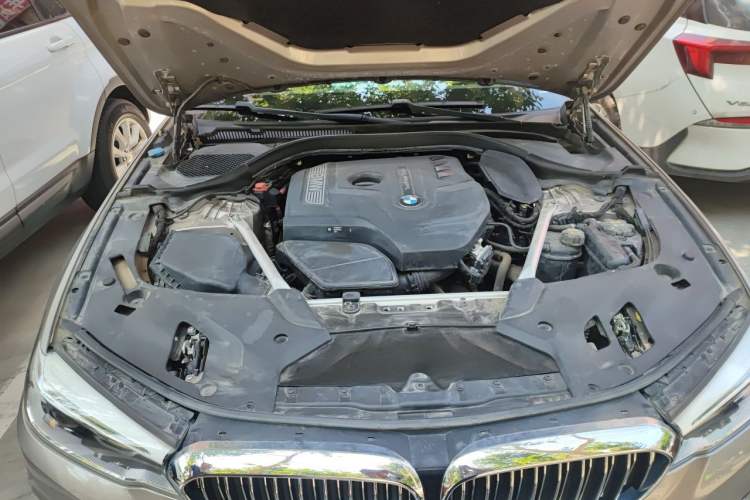 Used BMW 5 Series 2020 530Li Leading Edition Luxury Package Engine Bay