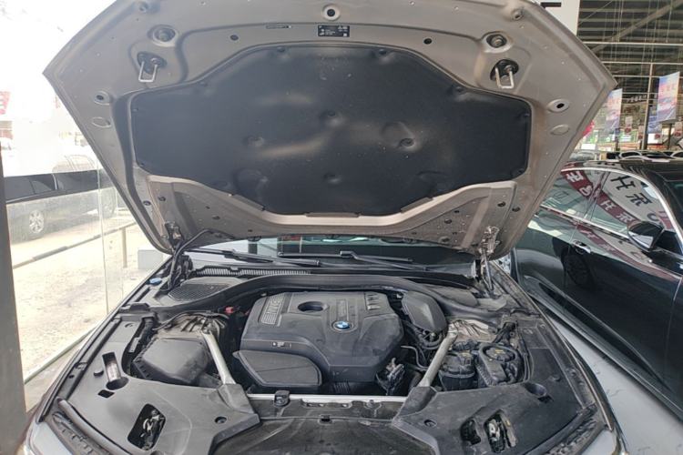 Used BMW 5 Series 2020 530Li Luxury Edition Premium Package Engine Bay