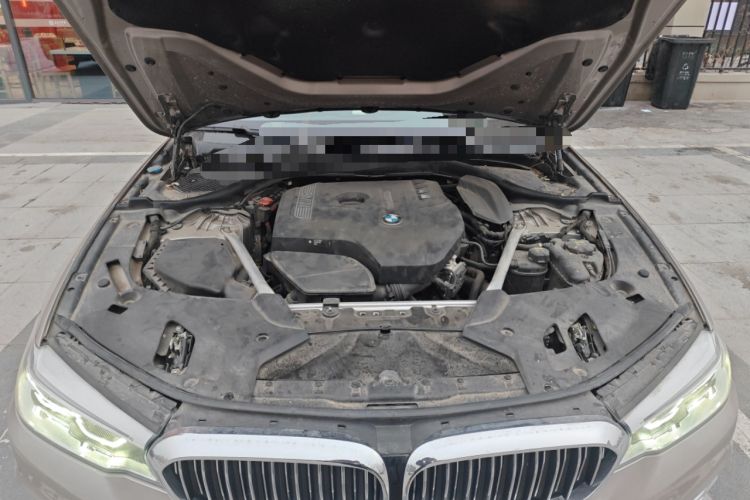 Used BMW 5 Series 2020 530Li Luxury Edition Premium Package Engine Bay