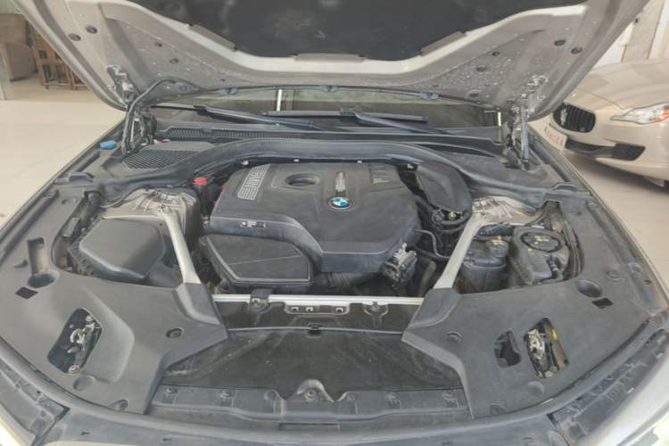 Used BMW 5 Series 2020 530Li Luxury Edition Premium Package Engine Bay