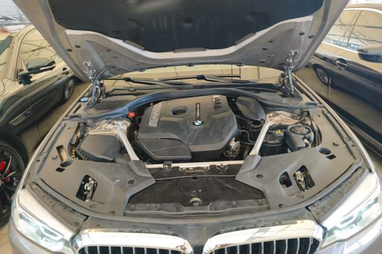 Used BMW 5 Series 2020 530Li Leading Edition Luxury Package Engine Bay