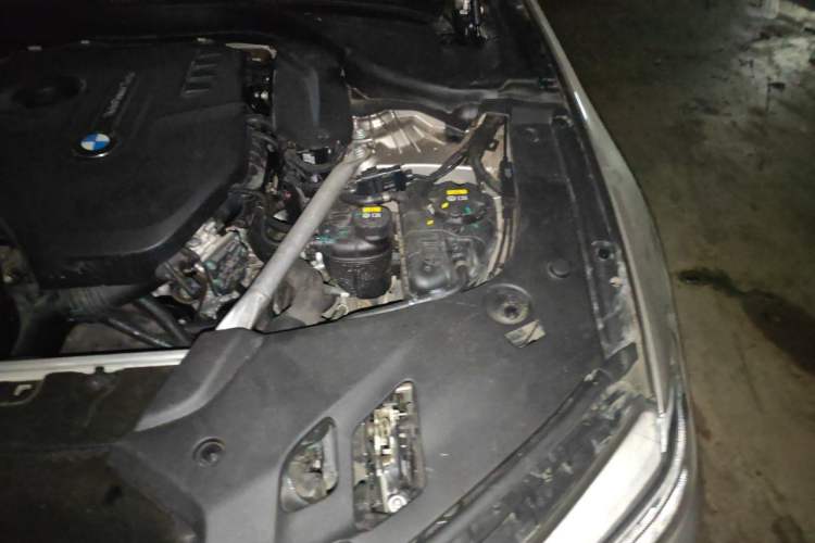 Used BMW 5 Series 2020 530Li Leading Edition Luxury Package Engine Bay Left