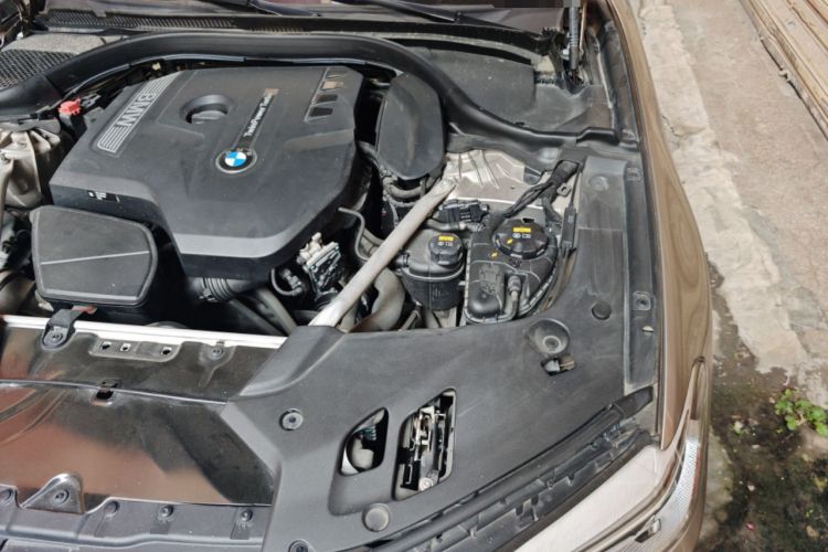 Used BMW 5 Series 2020 530Li Luxury Edition Premium Package Engine Bay Left