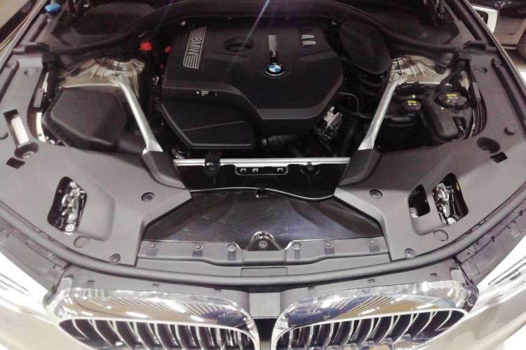 Used BMW 5 Series 2020 530Li Leading Edition Luxury Package Engine Bay