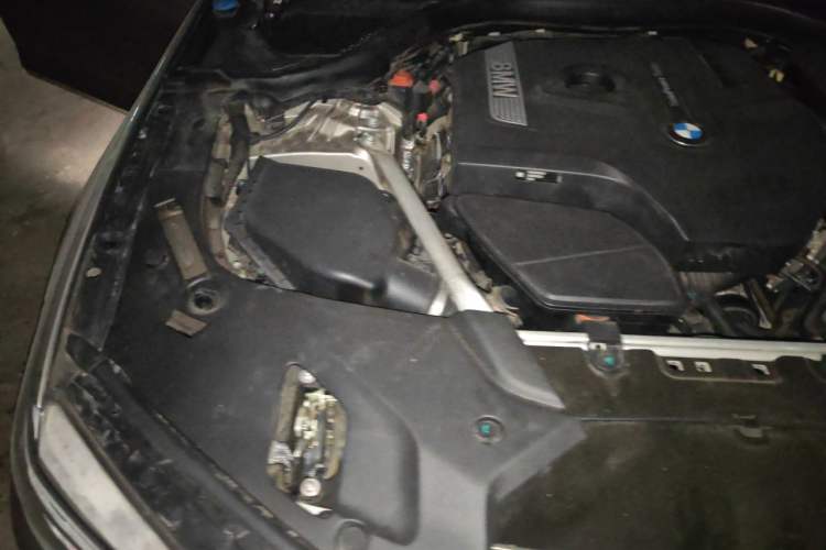 Used BMW 5 Series 2020 530Li Leading Edition Luxury Package Engine Bay Right