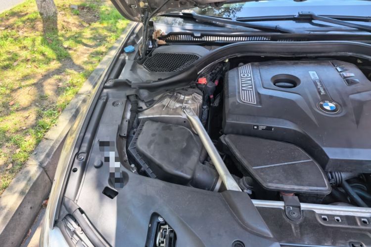 Used BMW 5 Series 2020 530Li Luxury Edition Premium Package Engine Bay Right