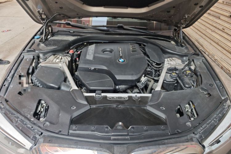 Used BMW 5 Series 2020 530Li Luxury Edition Premium Package Engine Bay