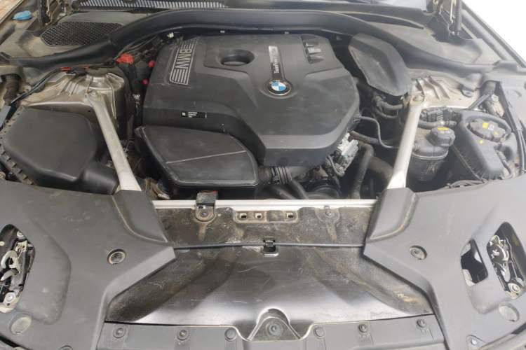 Used BMW 5 Series 2020 530Li Leading Edition Luxury Package Engine Bay