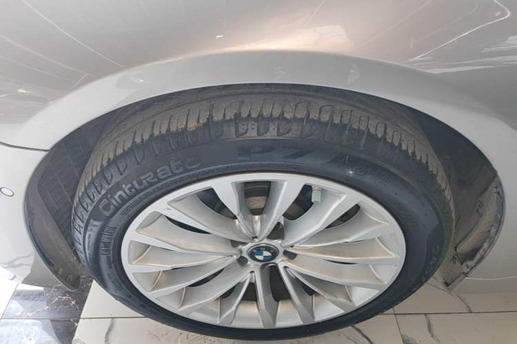 Used BMW 5 Series 2020 530Li Luxury Edition Premium Package Exterior 4