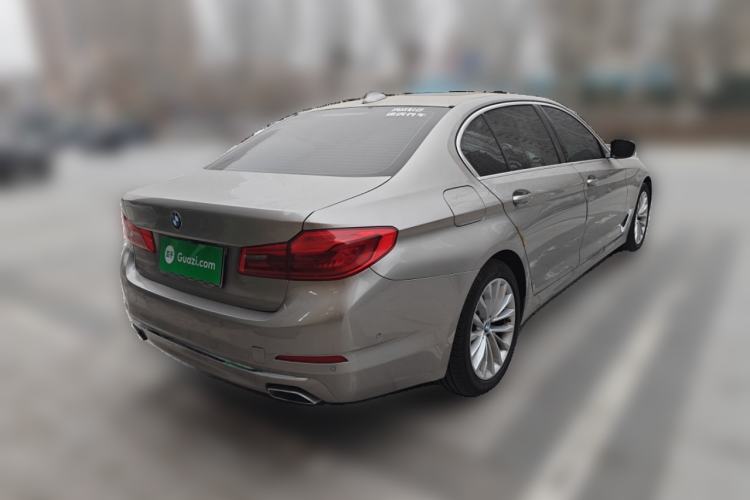 Used BMW 5 Series 2020 530Li Luxury Edition Premium Package Exterior 5
