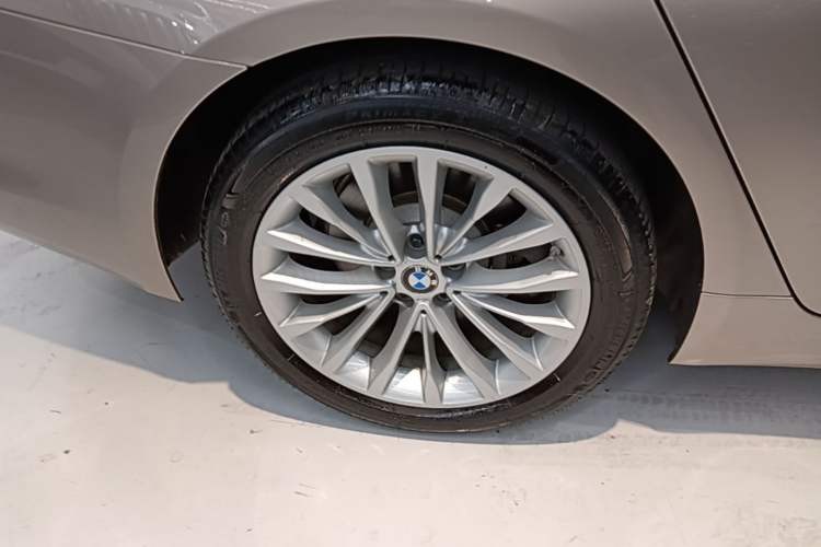 Used BMW 5 Series 2020 530Li Leading Edition Luxury Package Exterior 5