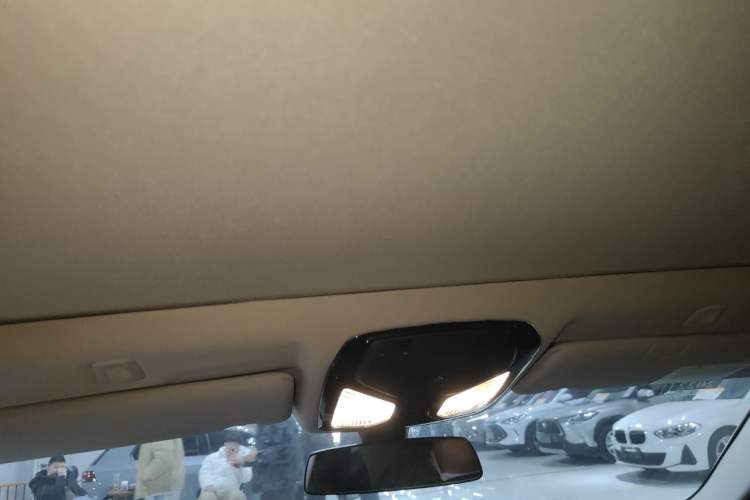 Used BMW 5 Series 2020 525Li Luxury Package Headliner