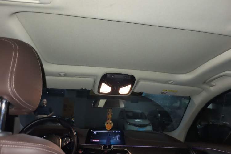 Used BMW 5 Series 2020 530Li xDrive Luxury Package Headliner